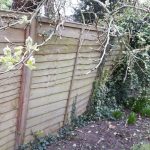 Old fencing