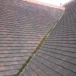 Gutter cleaning 3